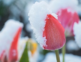 Urlaubsmomente im Hotel Spielmann Ehrwald