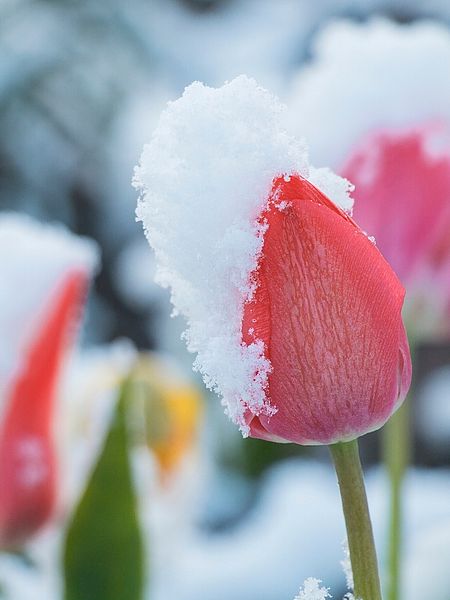 Urlaubsmomente im Hotel Spielmann Ehrwald