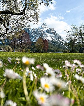 Urlaubsmomente im Hotel Spielmann Ehrwald