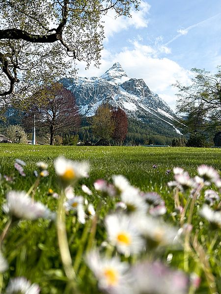 Urlaubsmomente im Hotel Spielmann Ehrwald