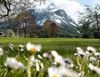 Vakantiemomenten bij Hotel Spielmann