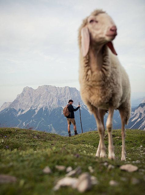 Spielmann: Hotel Tirol, holidays in Tyrol