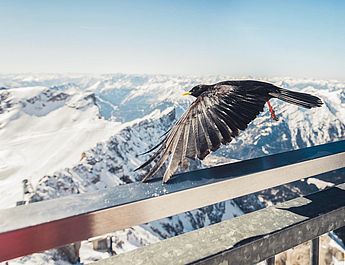 Urlaubsmomente im Hotel Spielmann Ehrwald