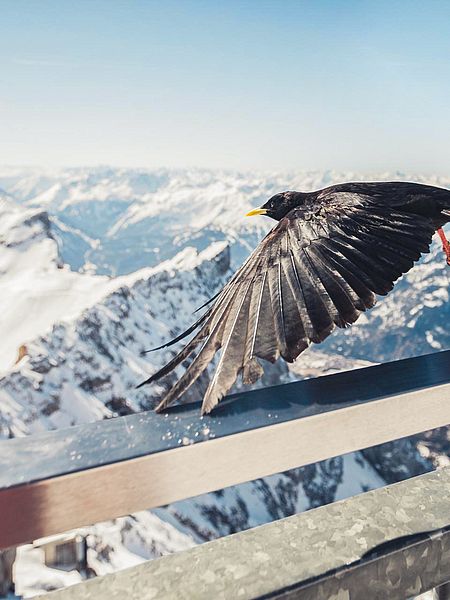 Urlaubsmomente im Hotel Spielmann Ehrwald