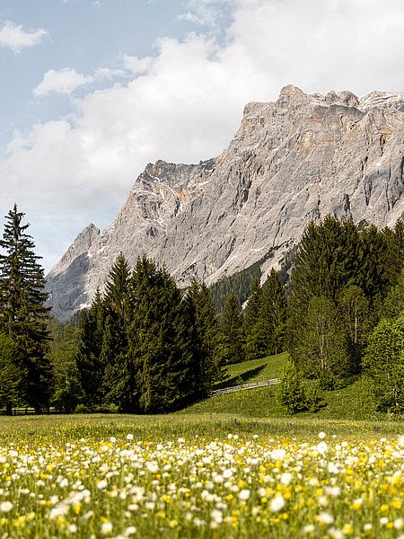 Urlaubsmomente im Hotel Spielmann Ehrwald