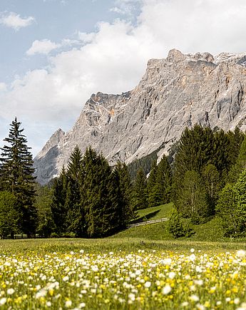 Urlaubsmomente im Hotel Spielmann Ehrwald