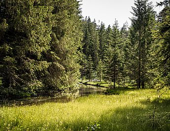 Urlaubsmomente im Hotel Spielmann Ehrwald